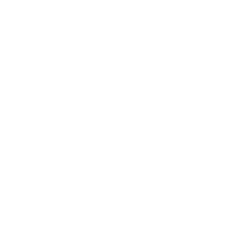 250 MSN white