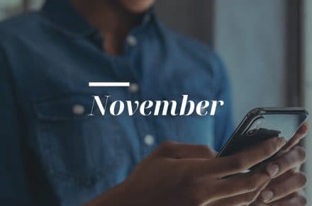 November search update