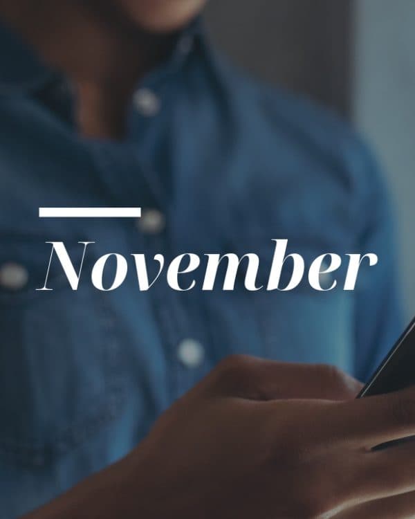 November search update